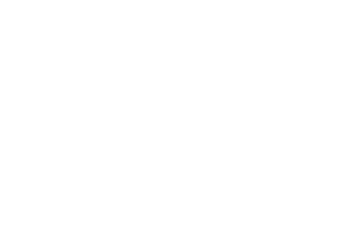 Leveraging Data Leveraging Data